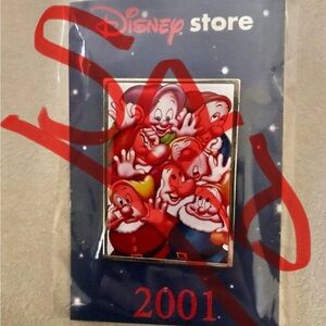 Disney 7 Dwarves. Pin